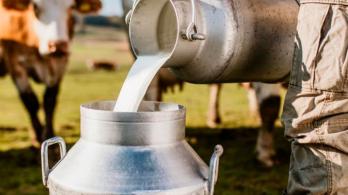 Sector lechero en Colombia. / Foto: Asoleche.