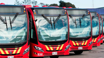 hilera de buses de Transmilenio (panorámicos frontales)
