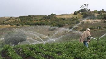 imagen de aspersión de agua en un cultivo en Boyacá