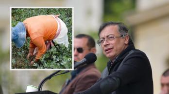 Presidente Petro sobre reducción de cultivos ilícitos. / Fotos: Presidencia y Radio Nacional de Colombia.