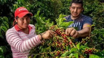 Pobreza multidimensional. / Foto: MinAgricultura.
