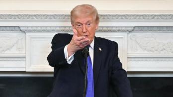 Desaprobación de Donald Trump. / Foto: AFP.