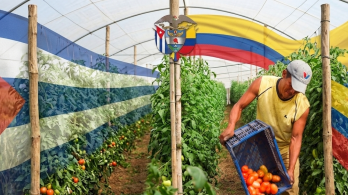 Cuba ayuda humanitaria Petro Colombia