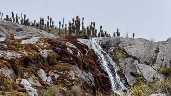 Protección ambiental: Gobierno destacó reducción histórica