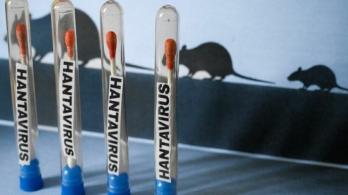  número de casos de hantavirus detectados