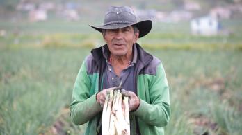 Judicatura y Gobierno urgen al Congreso aprobar la Jurisdicción Agraria antes del 20 de junio