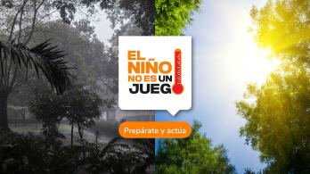 Así funciona El Niño, el fenómeno del Pacífico que reconfigura los ríos, el campo y la salud