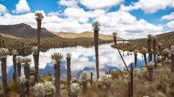 En los Andes, El Niño seca el agua de la que depende el 70 % de los colombianos