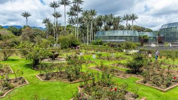 Cómo ser aliado gastronómico con el Jardín Botánico de Bogotá