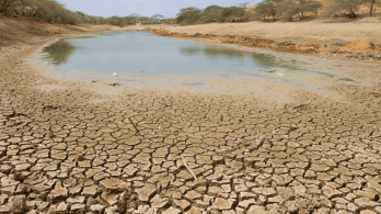 No te pierdas hoy el especial sobre los retos en Colombia ante el fenómeno El Niño por RTVC