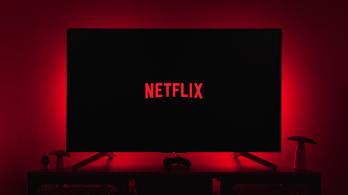 Caen acciones de Netflix en Wall Street por visualizaciones de usuarios