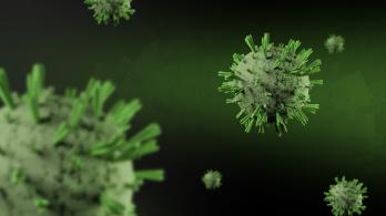 Francia reporta el primer fallecido por el virus Shamonda
