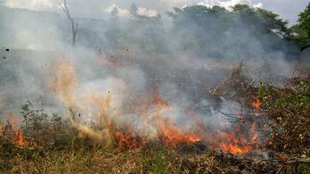 IDEAM declara fenómeno de El Niño en Colombia