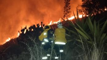 Autoridades-controlaron-incendio-forestal-de-Cerro-Gordo-en-Cundinamarca.jpg