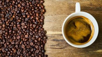 Cafe-un-sorbo-de-paz-trabajo-y-transformacion.jpg