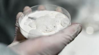 Canada-permitio-a-una-compania-producir-y-vender-cocaina.jpg
