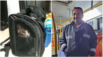 Conductor-de-TransMilenio-adopto-a-gatico-abandonado-en-un-bus.jpg