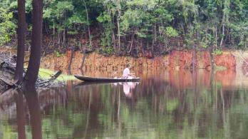 Deforestacion-1.jpg