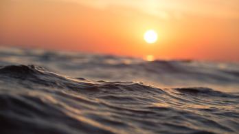 Dia-Internacional-de-los-oceanos-estas-son-las-acciones-urgentes-para-protegerlos.jpg