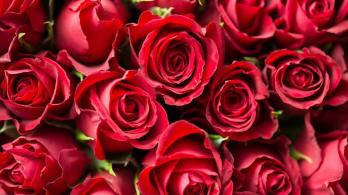 Dia-San-Valentin-¿Por-que-es-tradicion-regalar-flores.jpg
