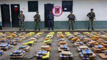 Ejercito-Nacional-destruyo-mas-de-3-toneladas-de-marihuana-1.jpeg