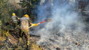 Emergencias-por-incendios-en-el-pais.jpg