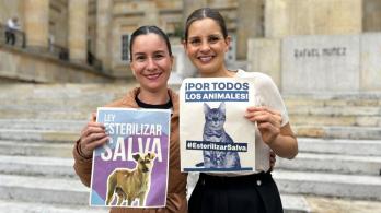 Esterilizacion-de-perros-y-gatos-alcance-y-financiacion-que-tendra-el-programa.jpg