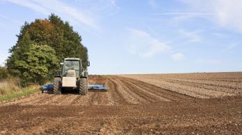 Fenomeno-de-El-Nino-podria-afectar-al-sector-agro-en-Colombia.jpg
