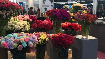 Flores-Foto-Asocolflores.jpg