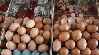 Huevos-foto-Colprensa.jpg