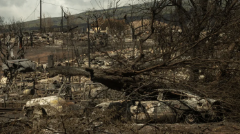 Identificaron-a-hombre-que-murio-protegiendo-a-su-perro-en-incendios-de-Hawai.png