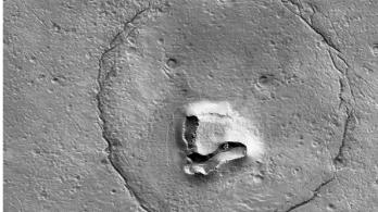 Imagen-de-oso-en-Marte.jpg