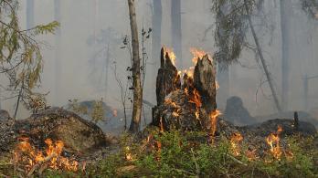 Incendios-1.jpg