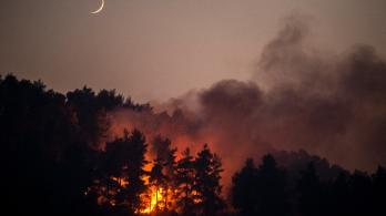 Incendios-Grecia.jpg