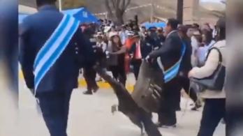 Indignacion-por-alcalde-que-encadeno-y-arrastro-a-un-condor-en-Peru.jpg