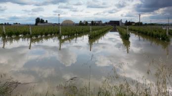 Inundaciones-en-el-norte-de-Italia-dejan-13-muertos-y-pueblos-devastados-1.jpg