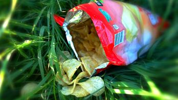 Ley-comida-chatarra.jpg