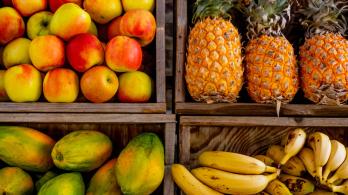 Los-cinco-mitos-mas-comunes-sobre-el-consumo-de-fruta.jpg
