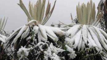 Nevada-Paramo-de-Sumapaz.jpg