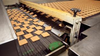 Oportunidades-en-fabrica-de-galletas-en-Canada.jpg
