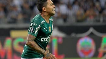 Palmeiras-Final-Libertadores.jpg