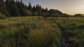 Paramo-foto-de-referencia.jpg
