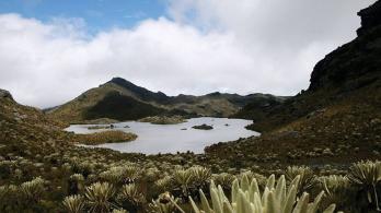 Paramo-santurban-vetas.jpg
