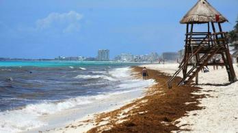 Playa-Ballenas-Mexico.jpg
