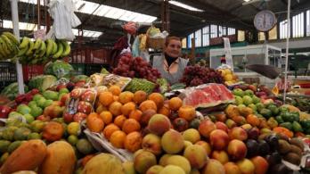 Precio-de-los-alimentos-para-2023.jpg
