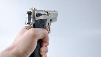 Proyecto_armas_ley.jpg