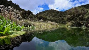 Retos_ambientales_2021-1.jpg