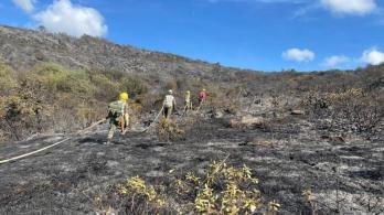 Santander-incendios-forestales-danaron-varias-hectareas-de-zonas-naturales.jpg