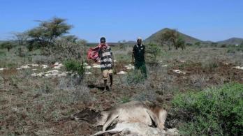 Sequia-en-Kenia-afecta-pastores.jpg