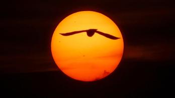 Solsticio-de-verano-2023-¿Cuando-y-a-que-hora-sera.jpg